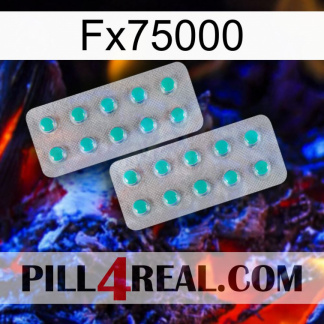 Fx75000 29